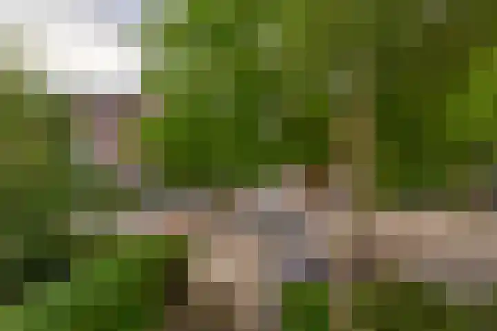 Boomheide 1 Rotterdam thumbnail 48