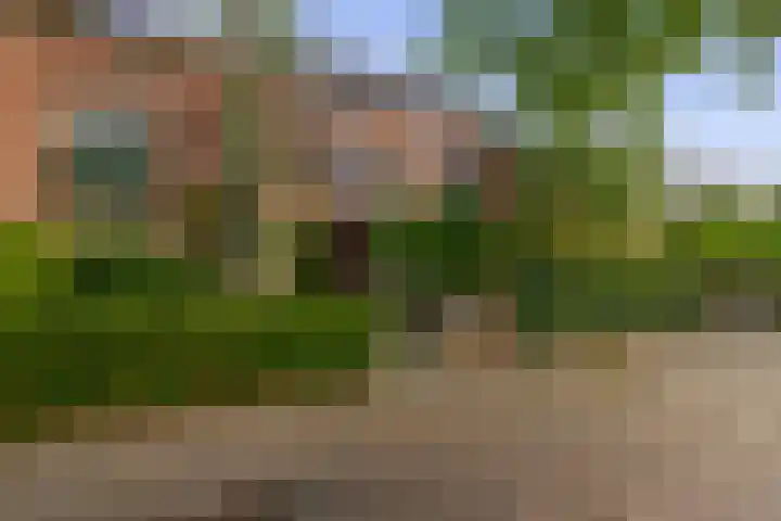 Boomheide 1 Rotterdam thumbnail 49