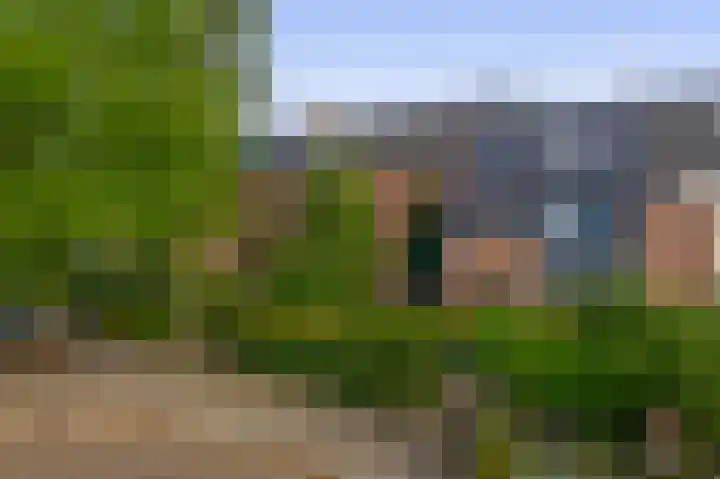 Boomheide 1 Rotterdam thumbnail 5
