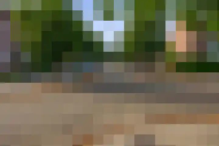Boomheide 1 Rotterdam thumbnail 50