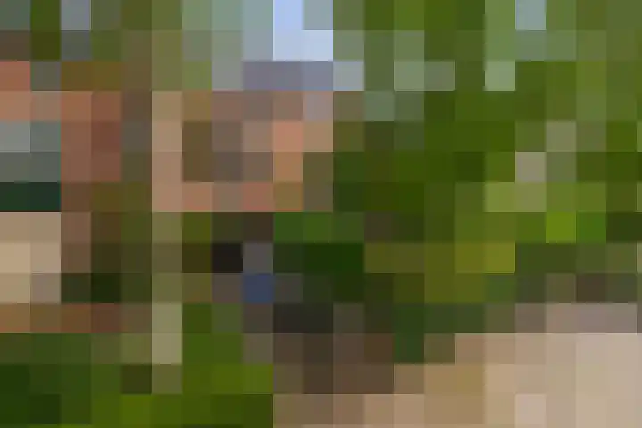 Boomheide 1 Rotterdam thumbnail 51