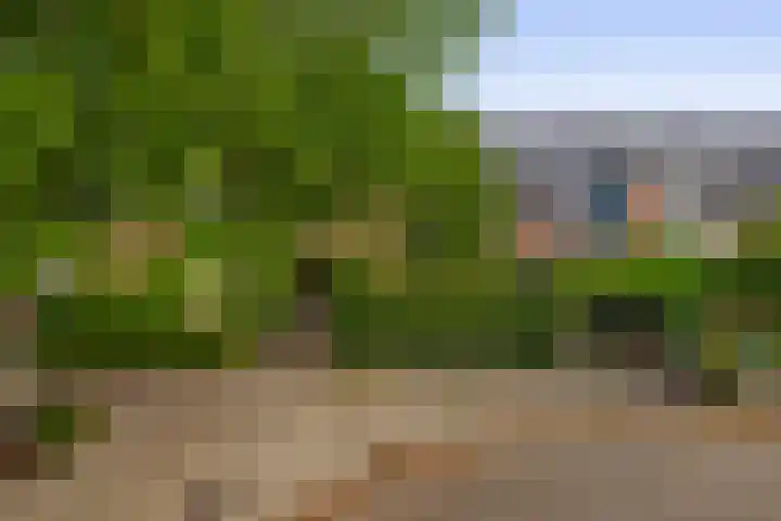 Boomheide 1 Rotterdam thumbnail 52