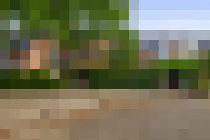 Boomheide 1 Rotterdam thumbnail 6