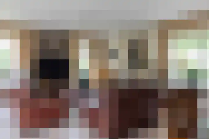 Boomheuvel 1 Best thumbnail 11