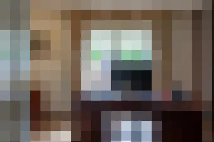 Boomheuvel 1 Best thumbnail 19