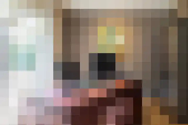 Boomheuvel 1 Best thumbnail 23