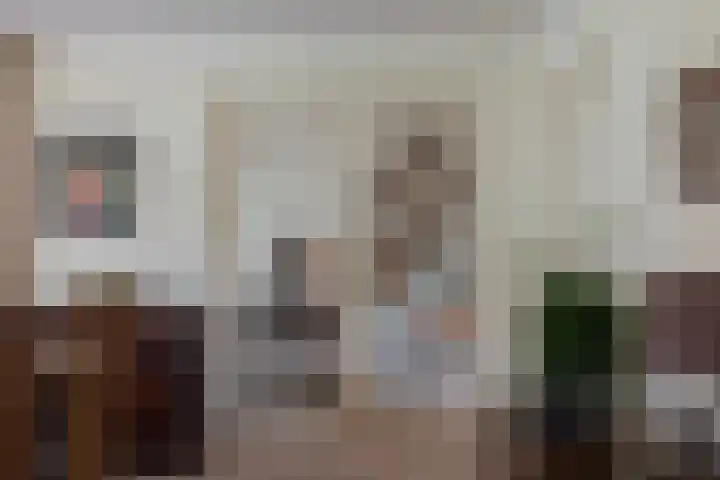 Boomheuvel 1 Best thumbnail 24