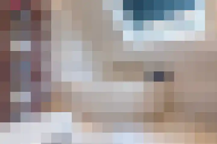 Boomheuvel 1 Best thumbnail 36