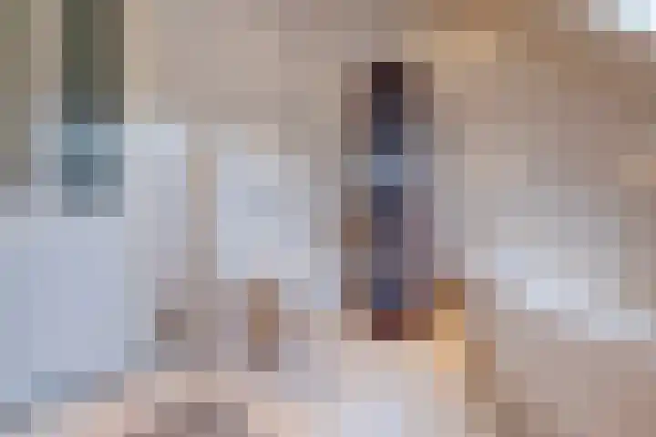 Boomheuvel 1 Best thumbnail 37