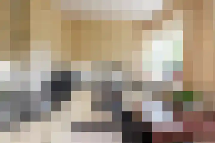 Boomheuvel 1 Best thumbnail 4
