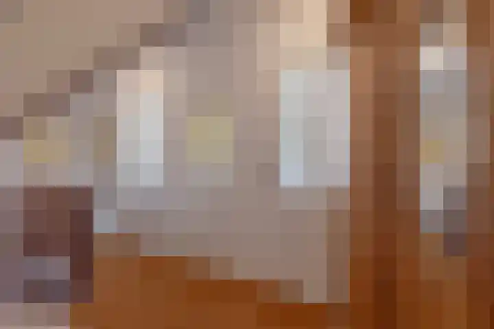 Boomheuvel 1 Best thumbnail 41
