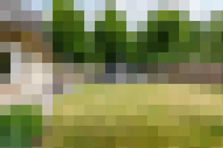 Boomheuvel 1 Best thumbnail 44