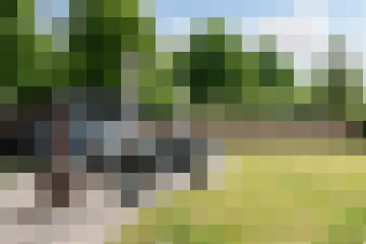 Boomheuvel 1 Best thumbnail 45