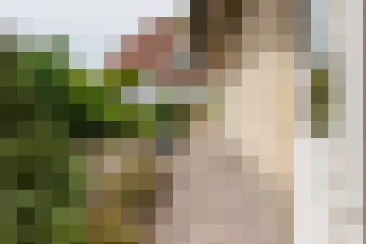 Boomheuvel 1 Best thumbnail 46