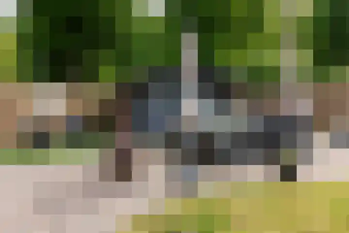 Boomheuvel 1 Best thumbnail 47