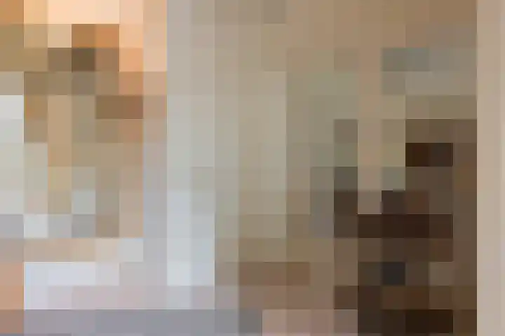Boomheuvel 1 Best thumbnail 8