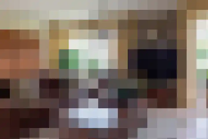 Boomheuvel 1 Best thumbnail 9