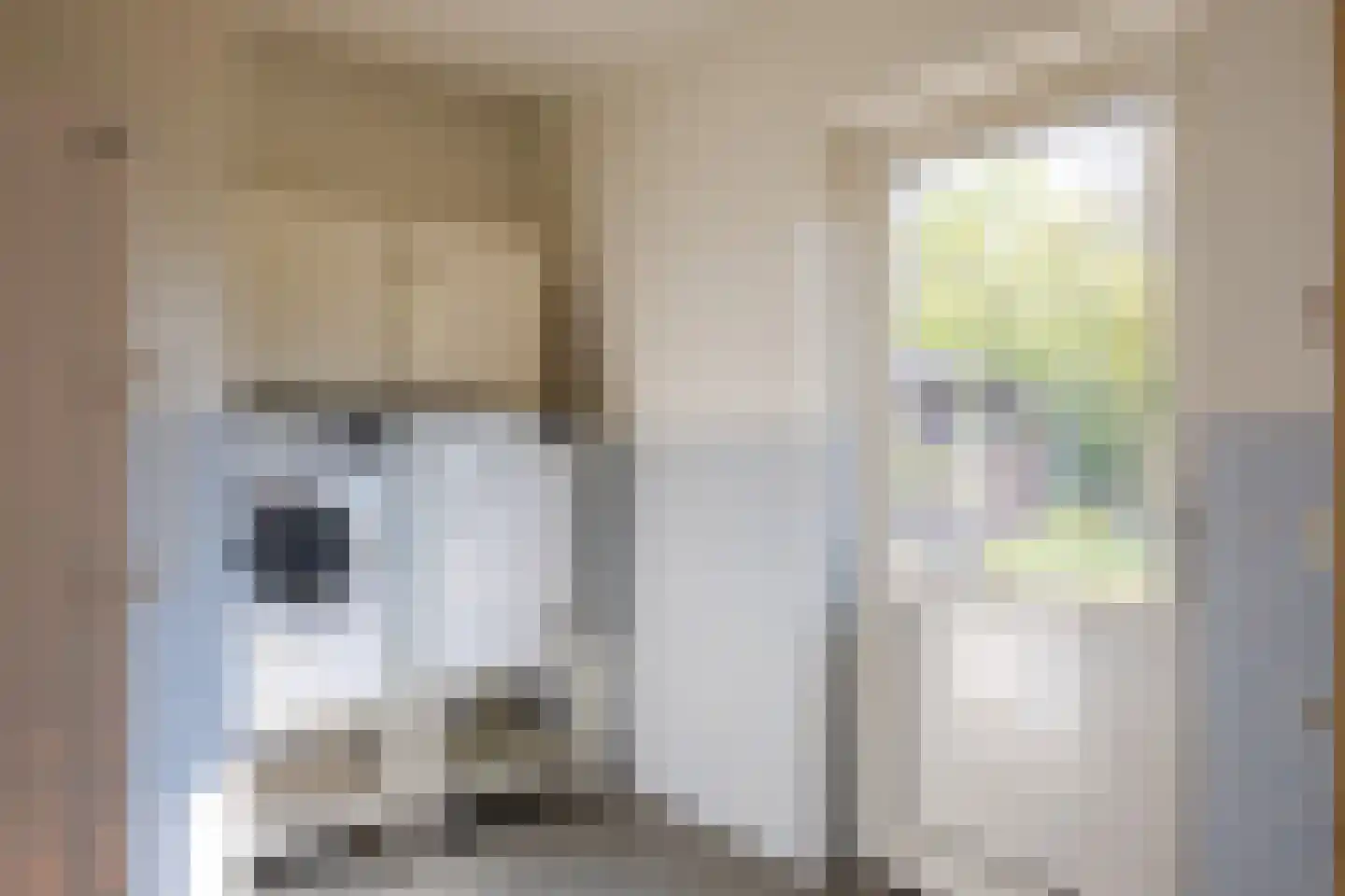 Boomheuvel 7 Best thumbnail 19