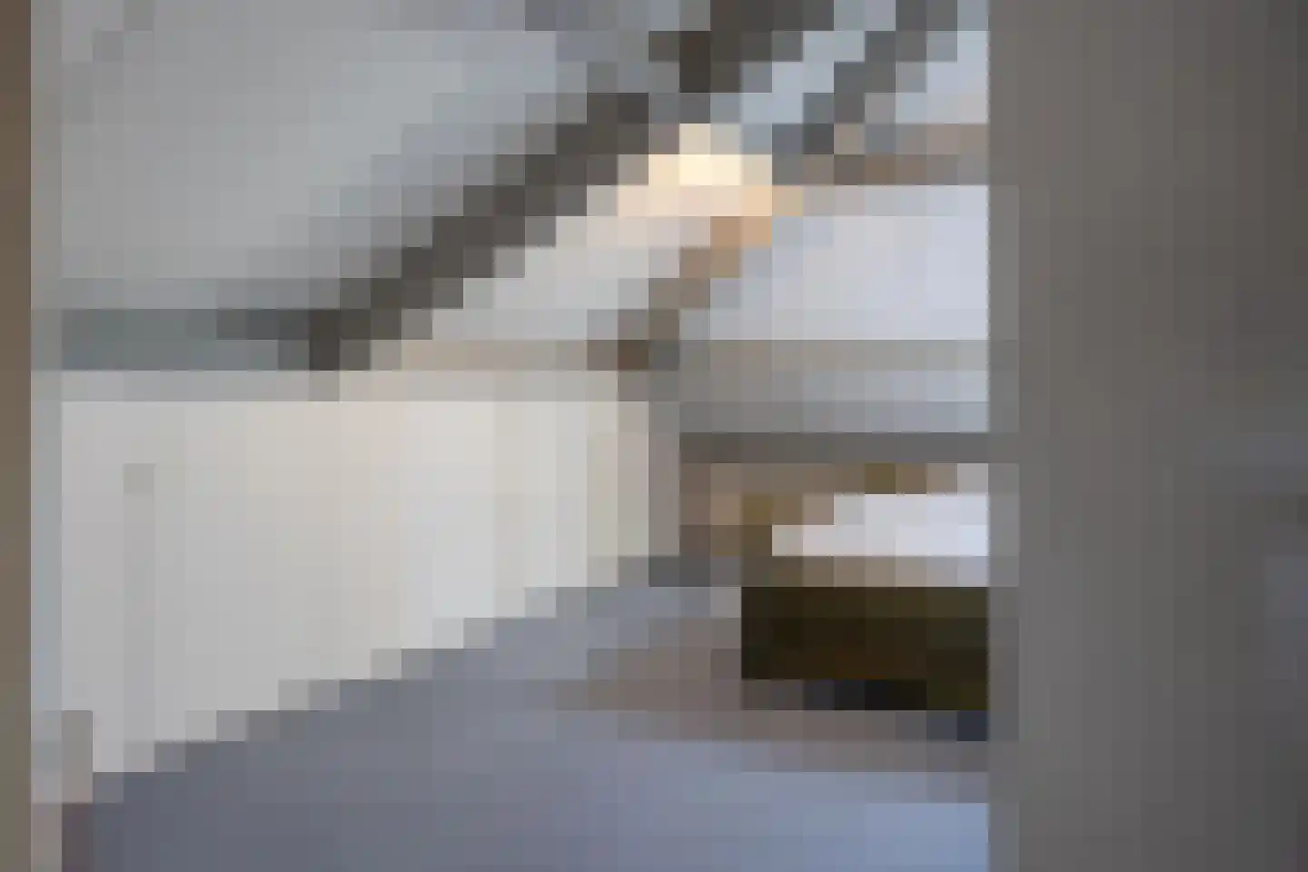 Boomheuvel 7 Best thumbnail 34