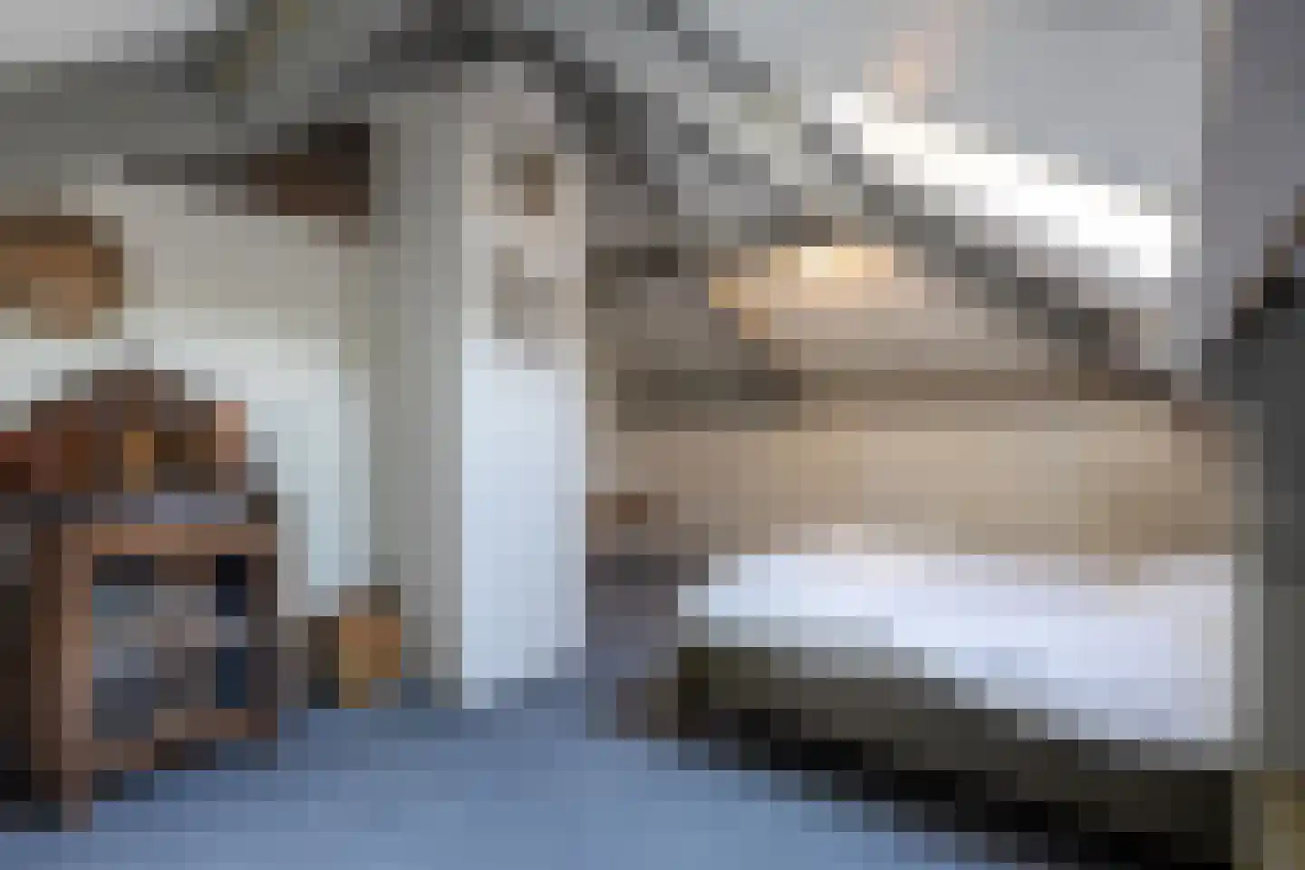 Boomheuvel 7 Best thumbnail 36