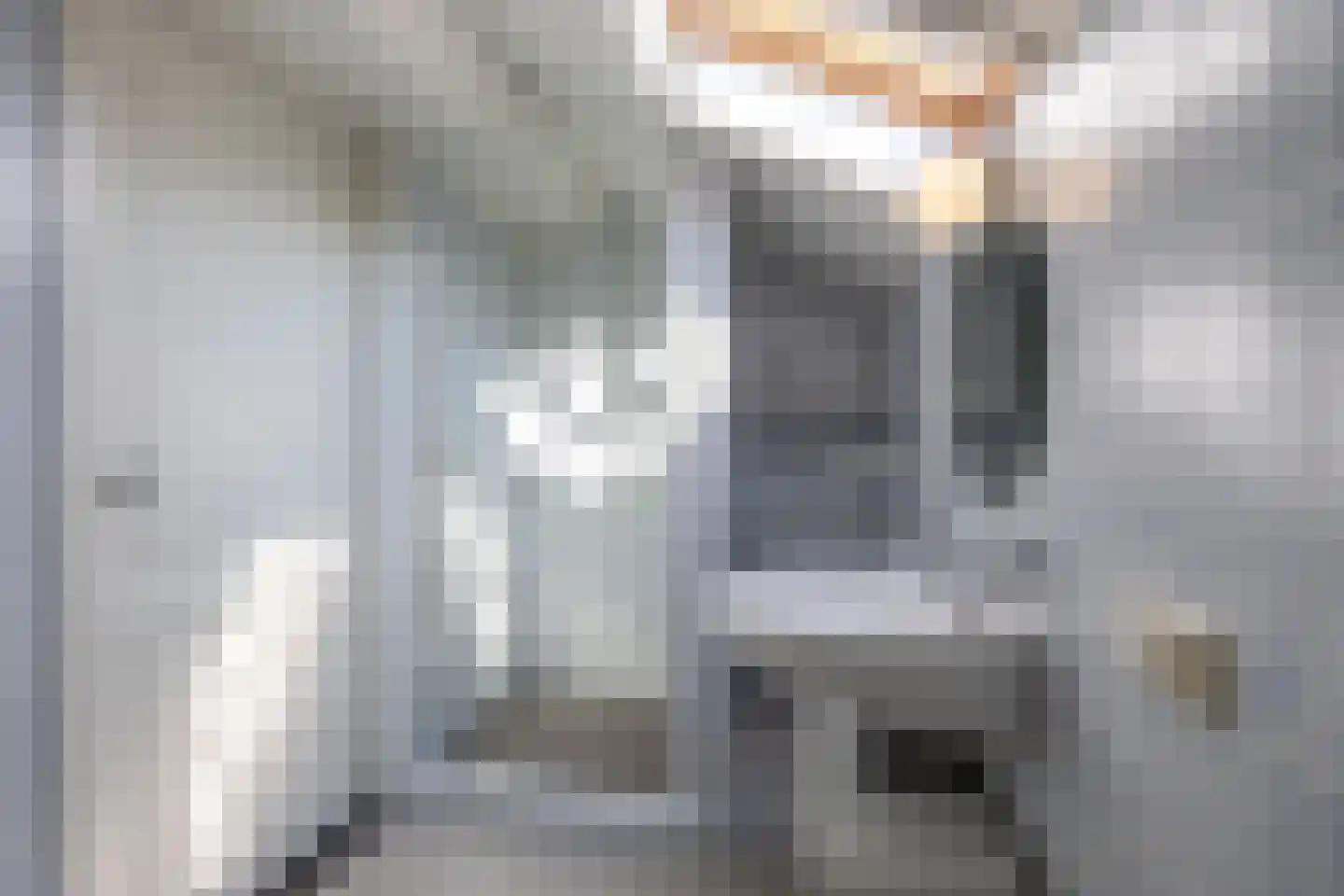 Boomheuvel 7 Best thumbnail 43