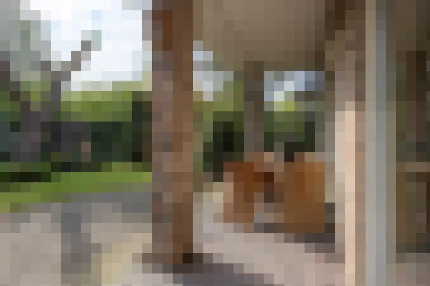 Boomheuvel 7 Best thumbnail 46
