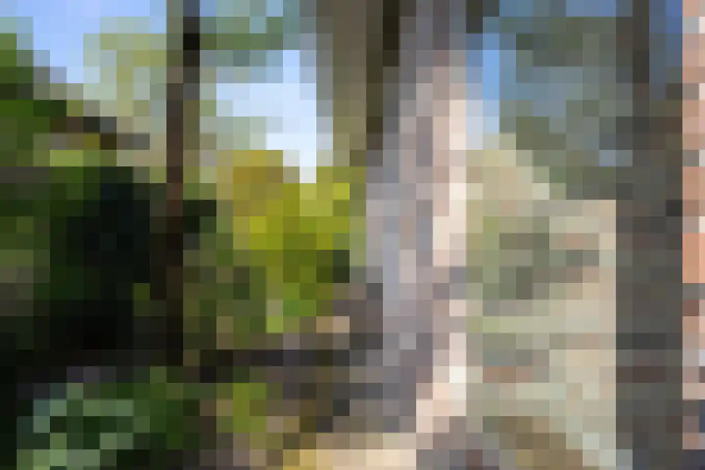 Boomheuvel 7 Best thumbnail 47