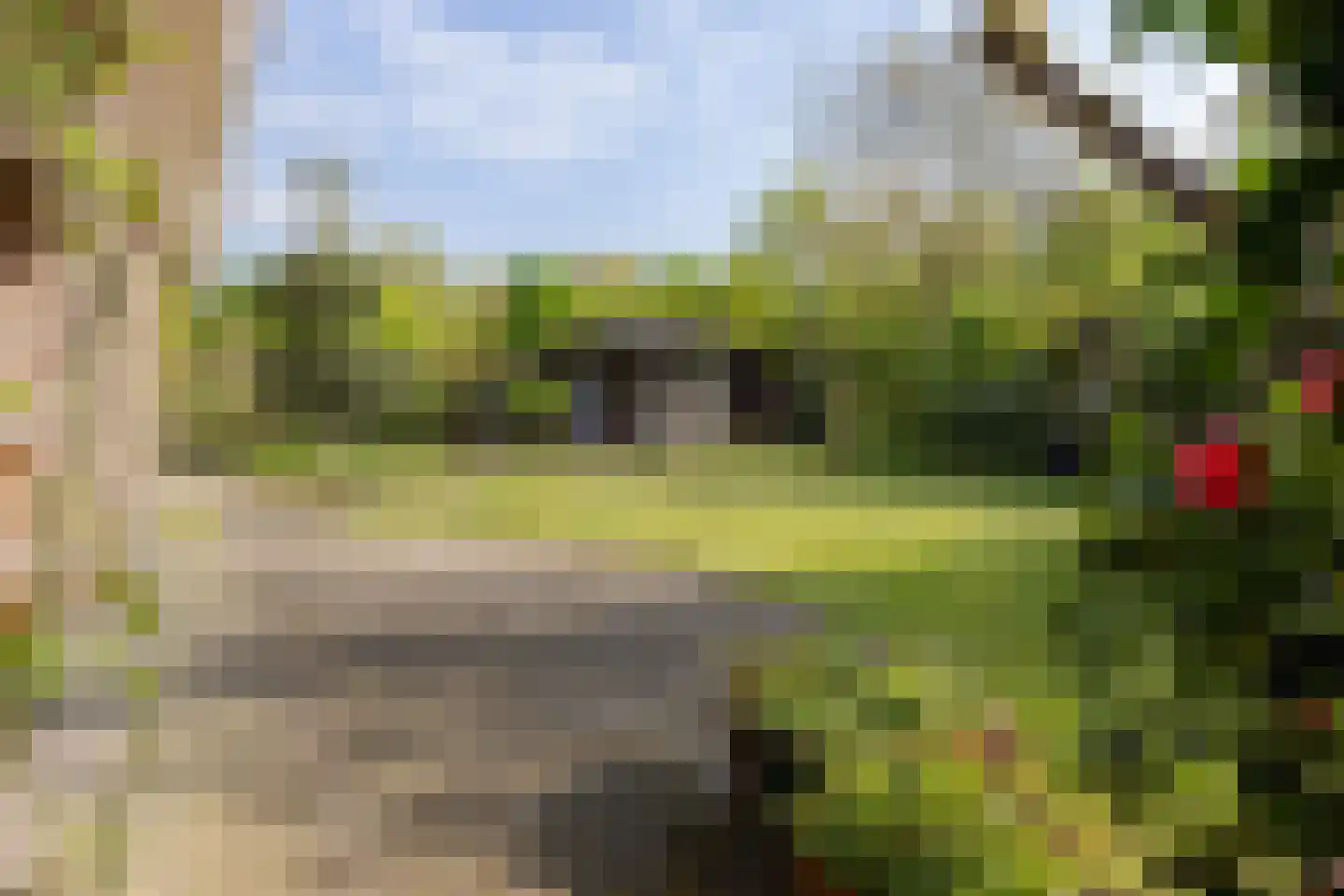 Boomheuvel 7 Best thumbnail 48