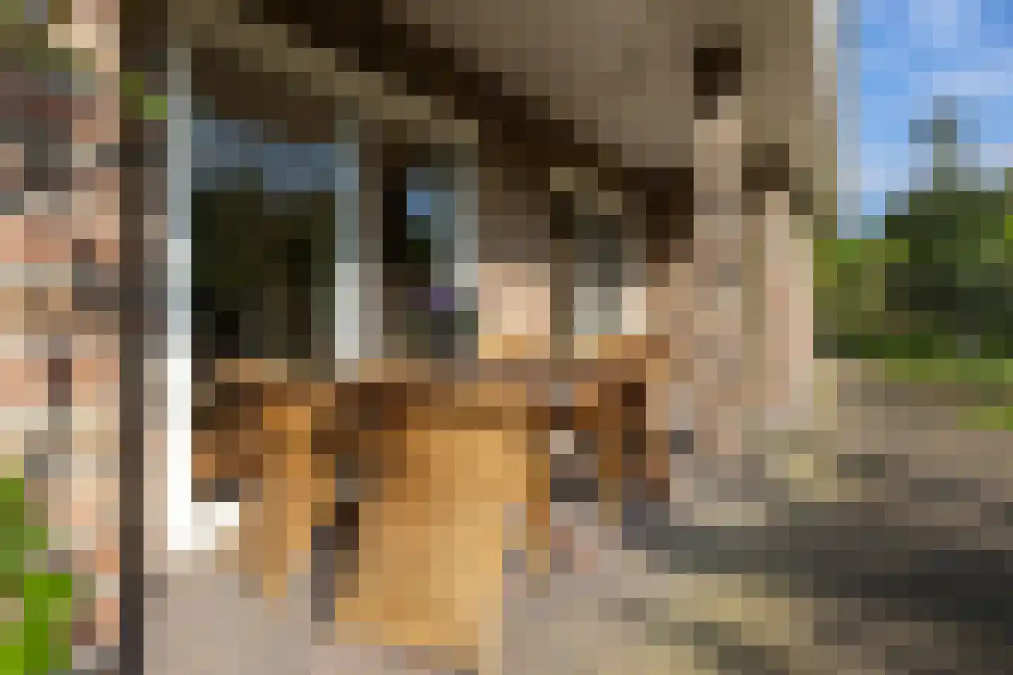 Boomheuvel 7 Best thumbnail 49