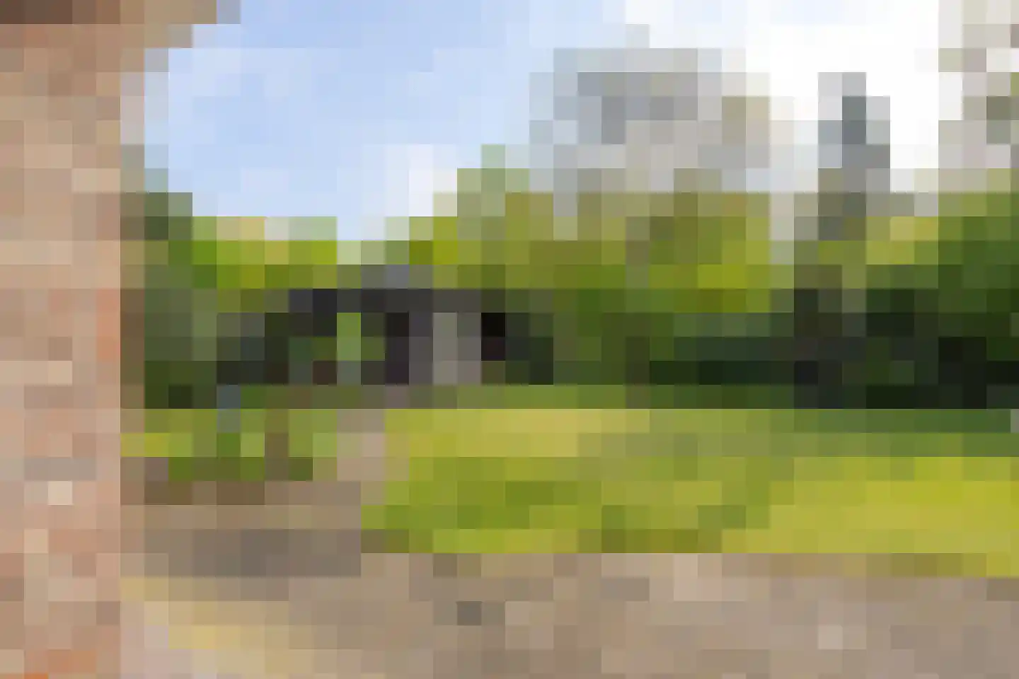 Boomheuvel 7 Best thumbnail 50