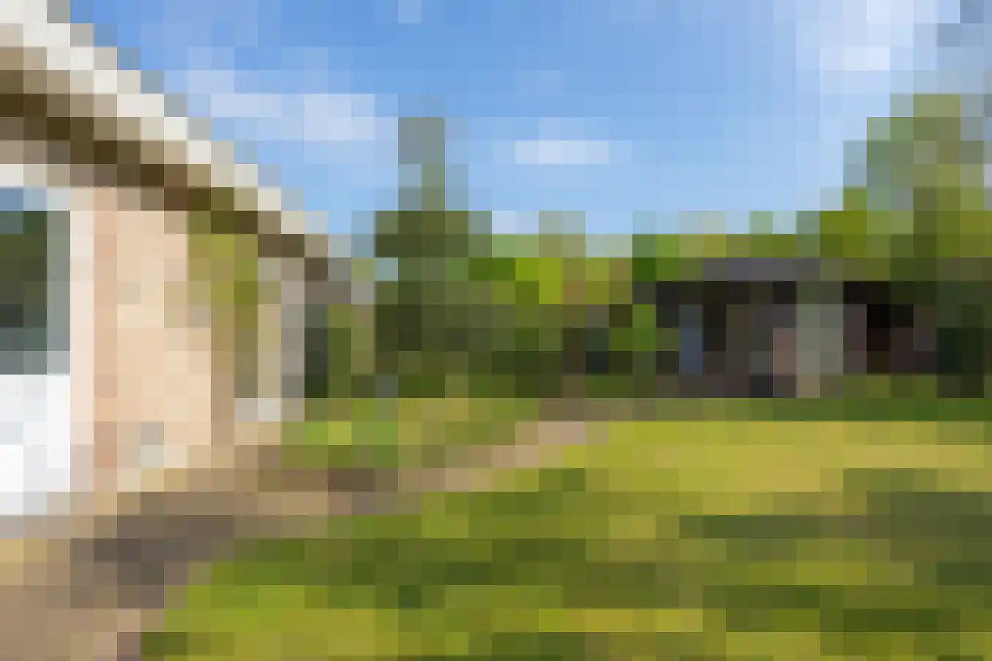 Boomheuvel 7 Best thumbnail 51