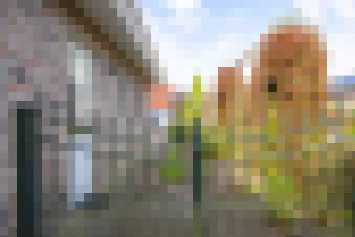 Boomheuvel 7 Best thumbnail 52
