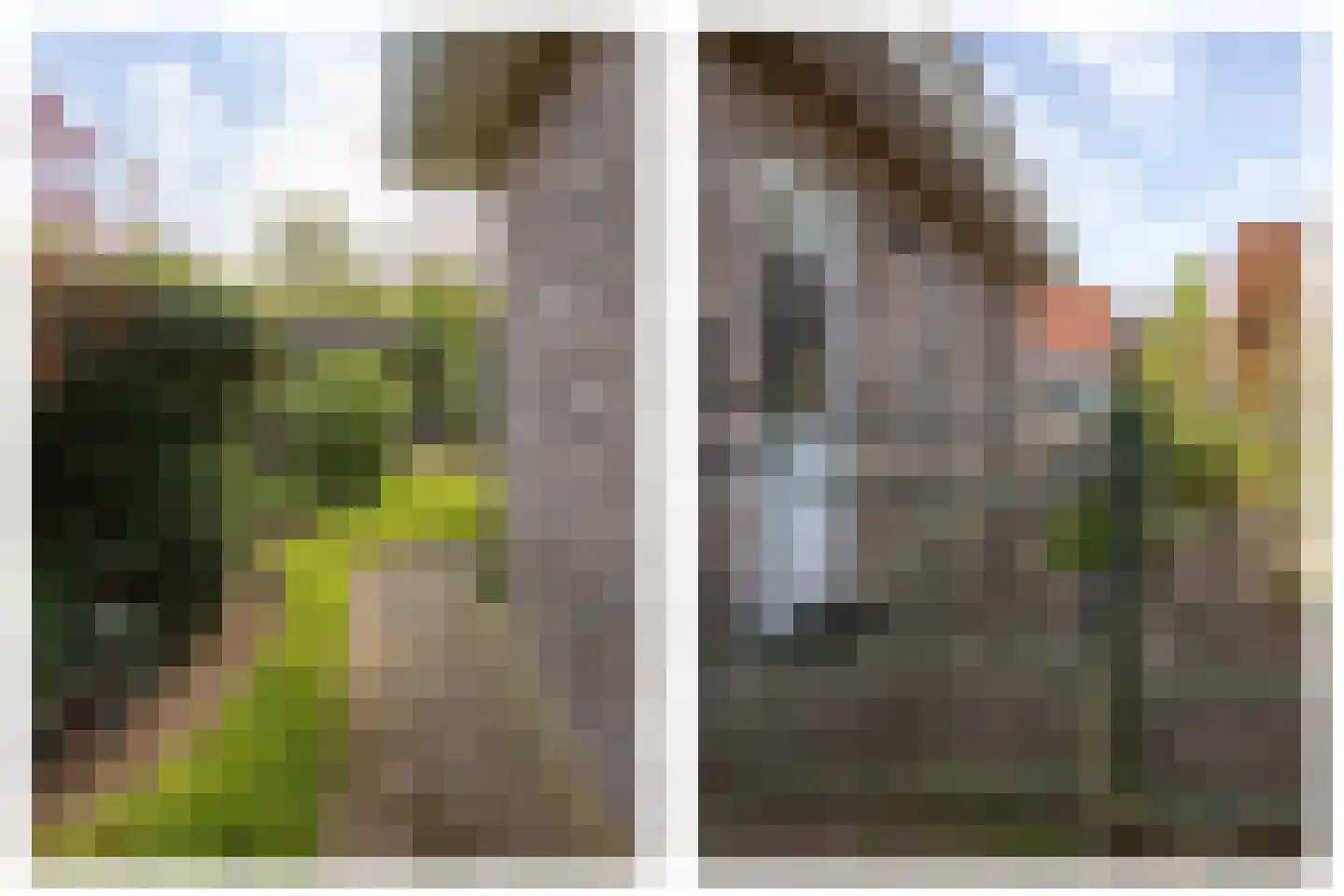 Boomheuvel 7 Best thumbnail 53