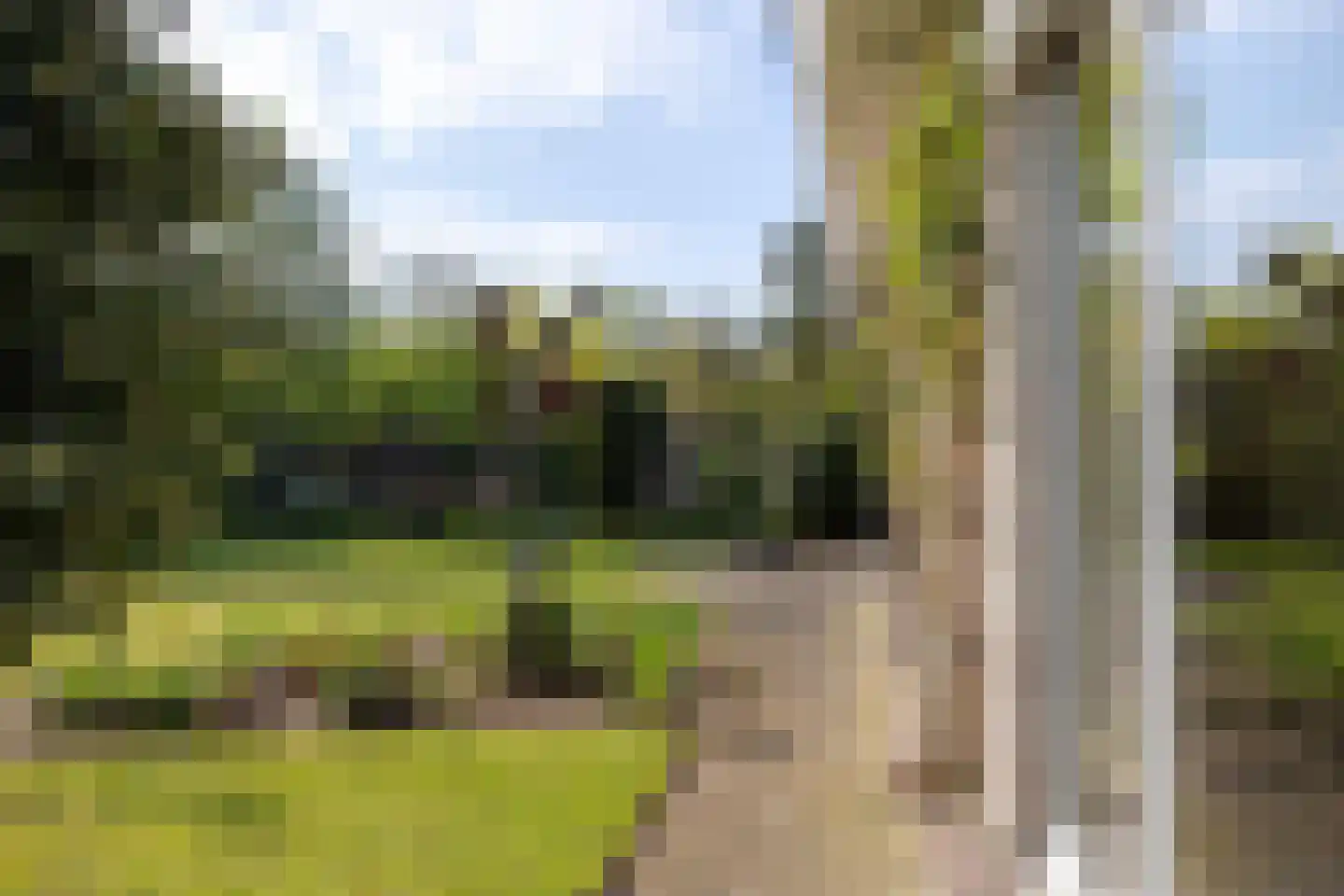 Boomheuvel 7 Best thumbnail 54
