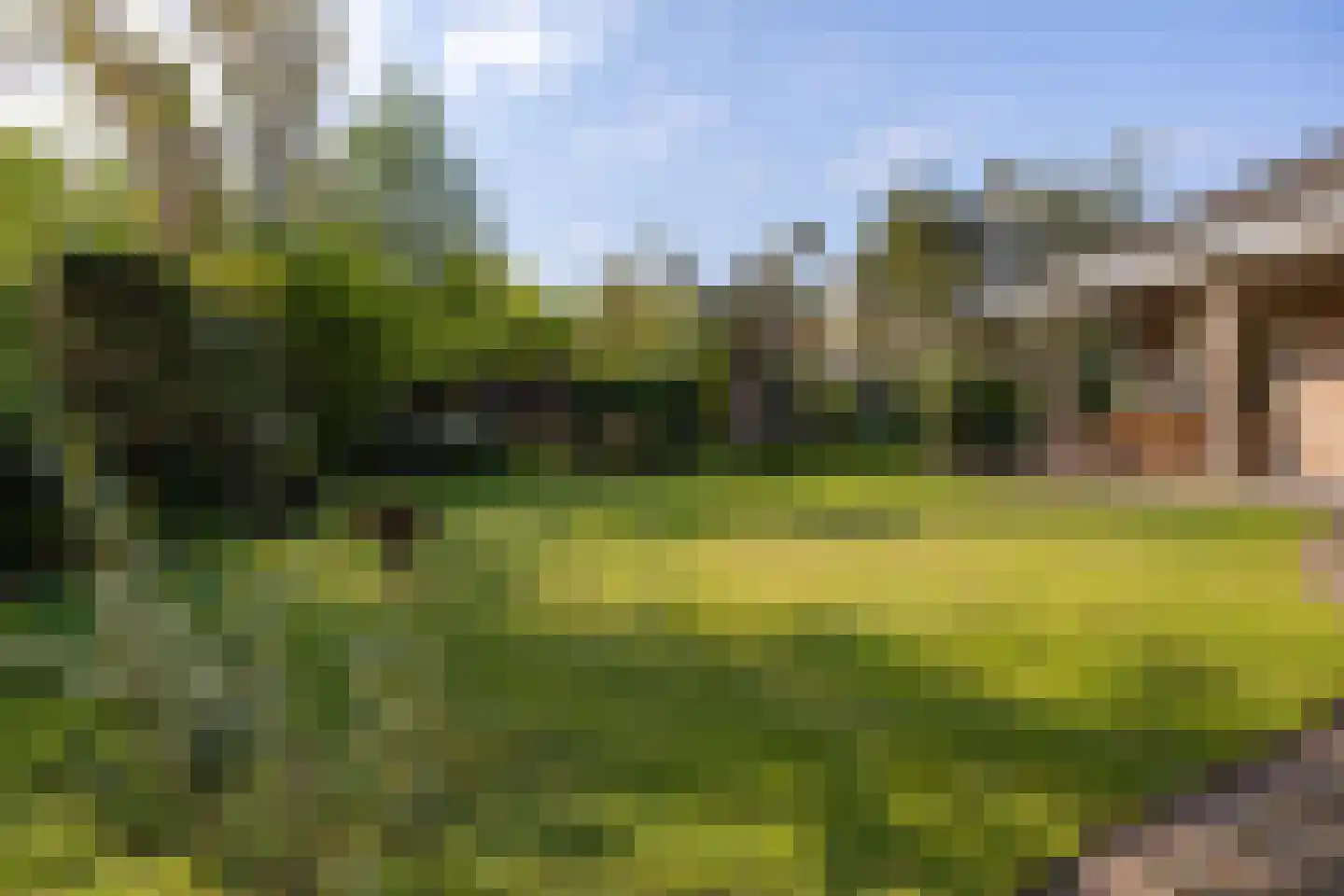 Boomheuvel 7 Best thumbnail 55