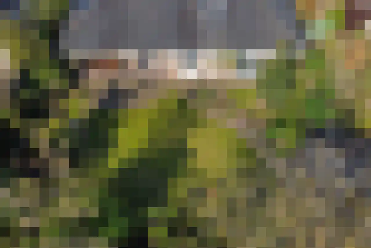Boomheuvel 7 Best thumbnail 59