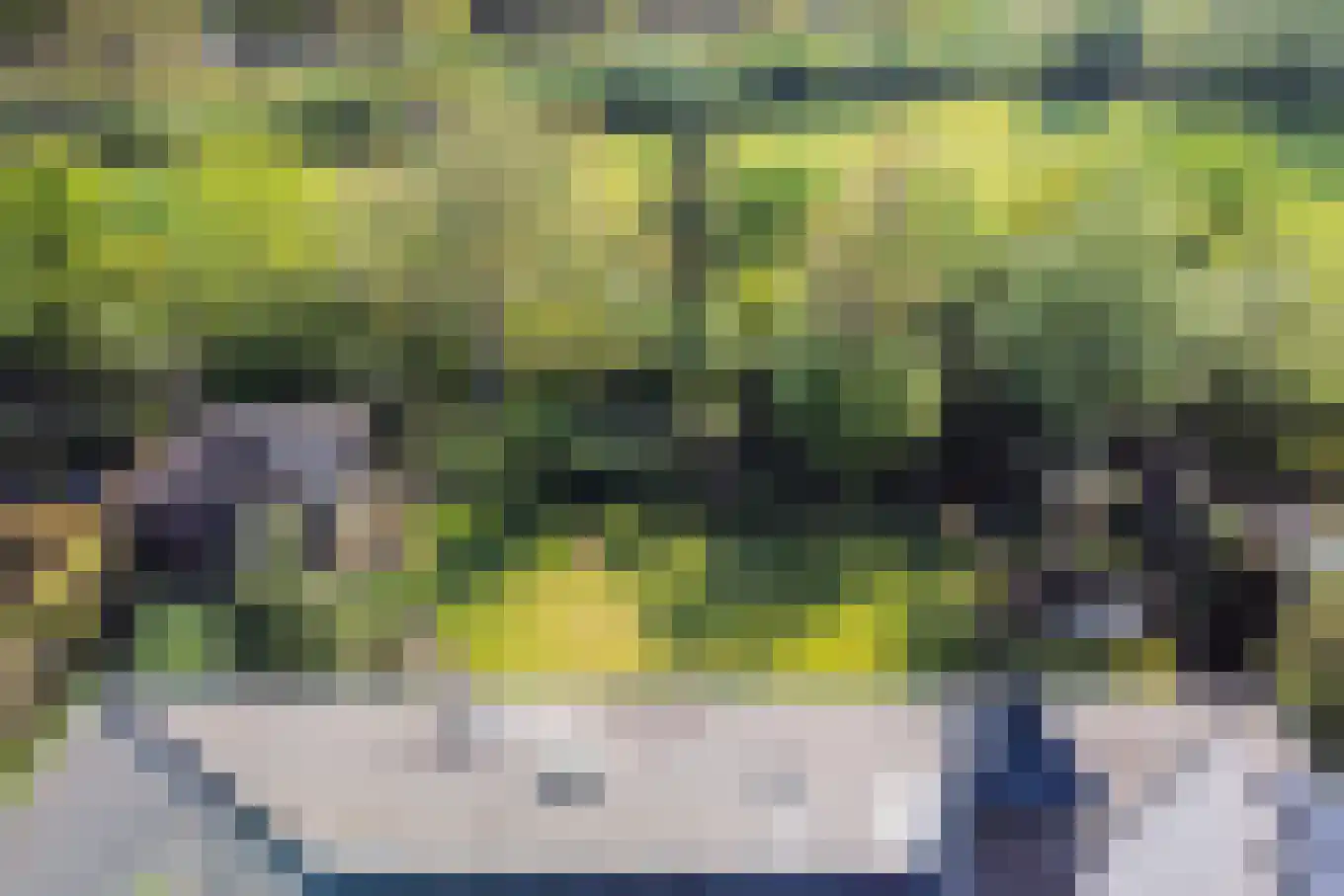 Boomheuvel 7 Best thumbnail 60