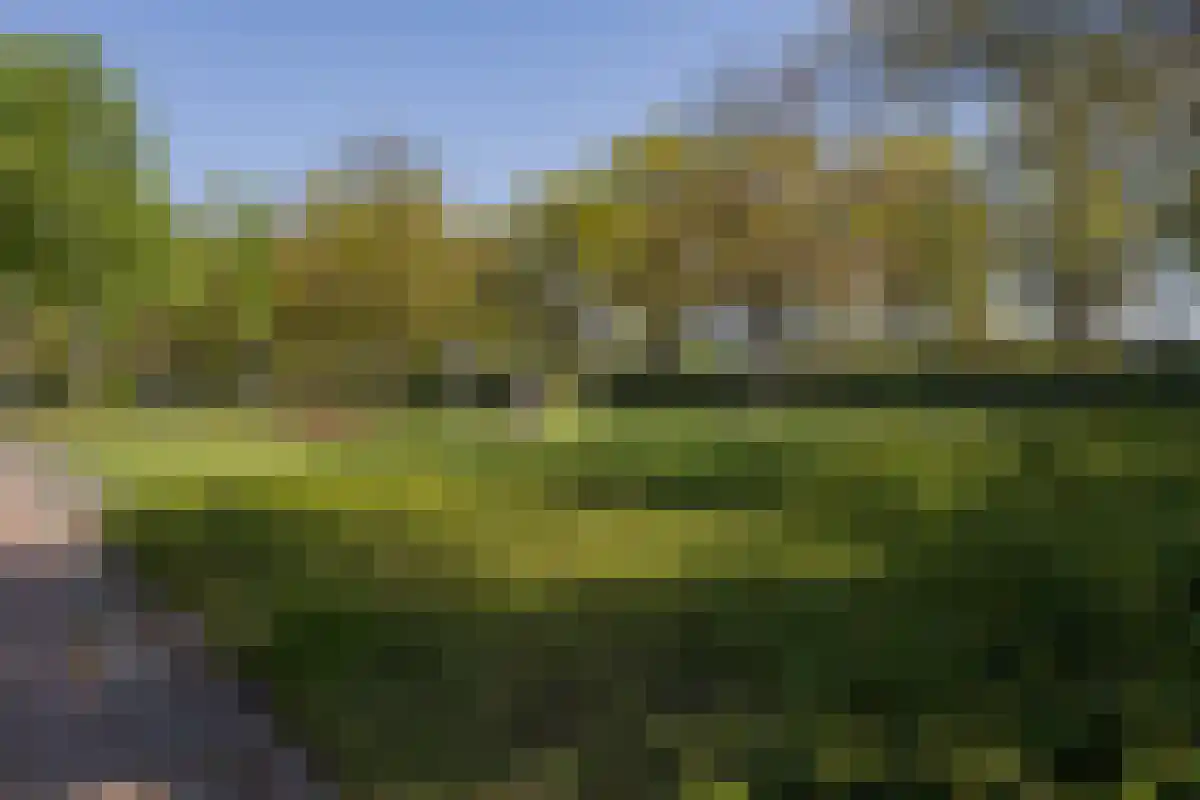 Boomheuvel 7 Best thumbnail 61