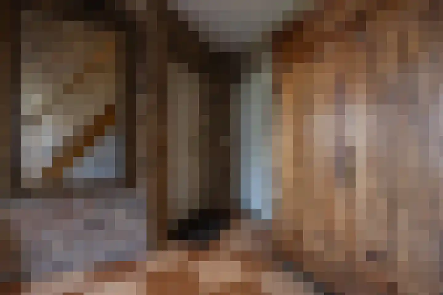 Boomheuvel 7 Best thumbnail 9