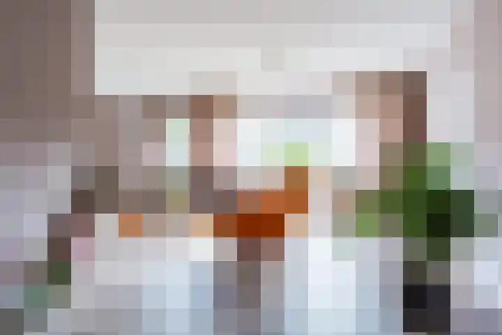 Boomheuvel 8 Best thumbnail 11