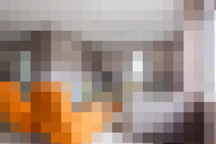 Boomheuvel 8 Best thumbnail 13