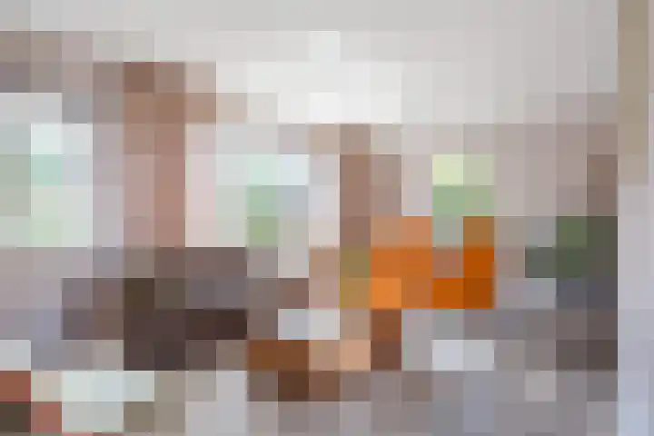 Boomheuvel 8 Best thumbnail 14