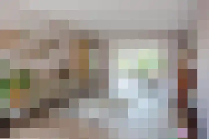 Boomheuvel 8 Best thumbnail 15