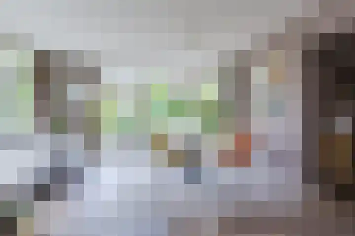 Boomheuvel 8 Best thumbnail 19