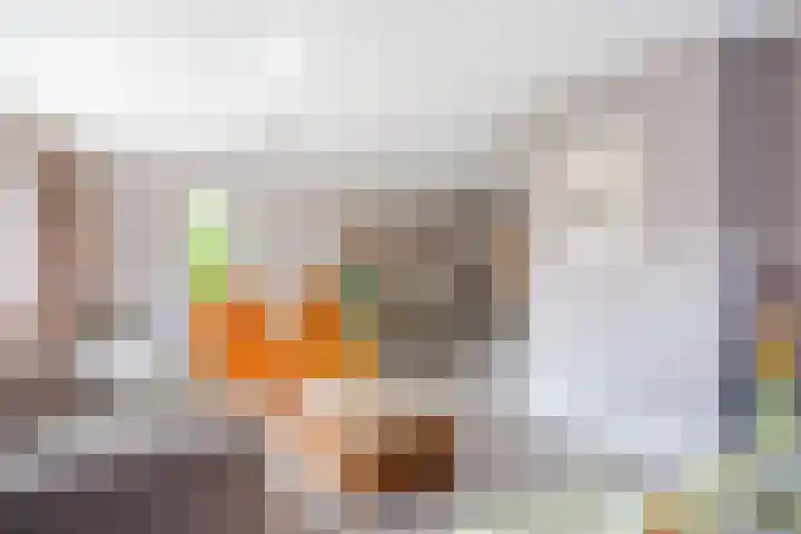 Boomheuvel 8 Best foto 2