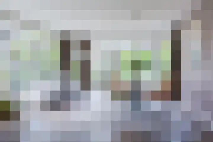Boomheuvel 8 Best thumbnail 20