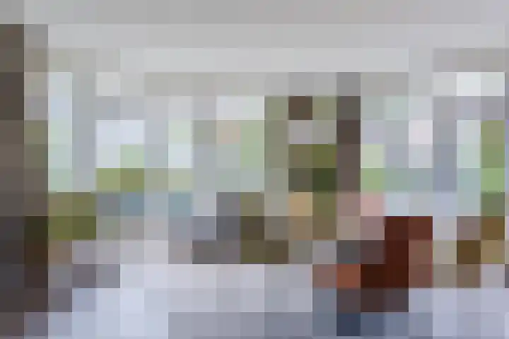 Boomheuvel 8 Best thumbnail 21