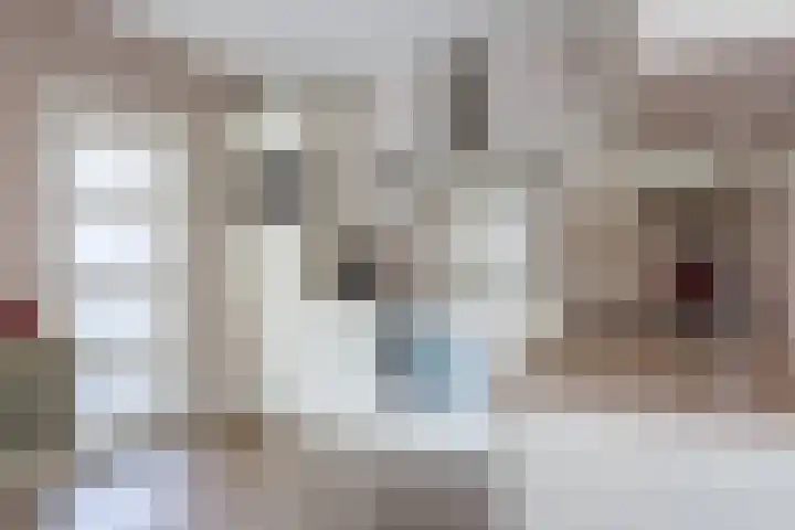 Boomheuvel 8 Best thumbnail 22