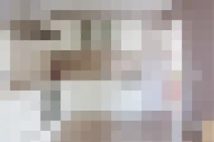 Boomheuvel 8 Best thumbnail 23