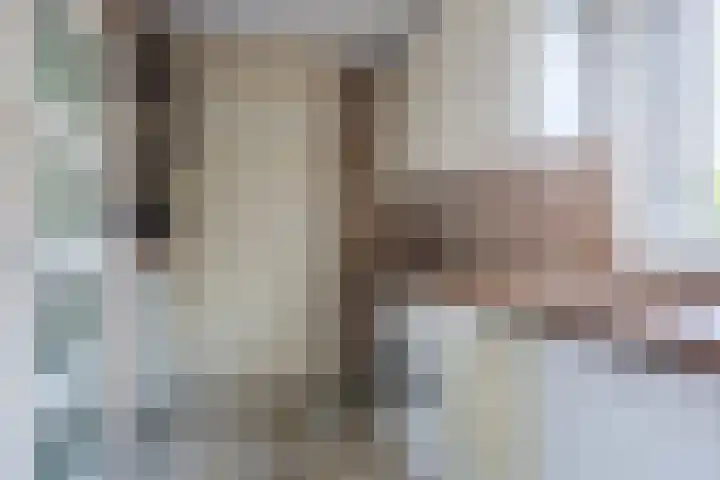 Boomheuvel 8 Best thumbnail 26